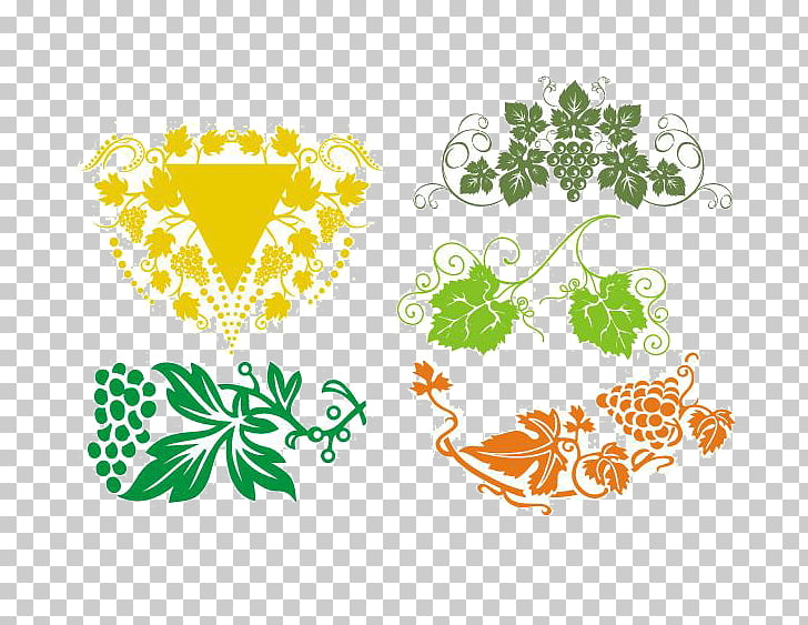 728x563 Frame Ornament Vine, Vine, Grape Leaf Diagram Png Clipart Free