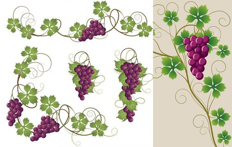 455x289 Free Grape Leaf Clipart And Vector Graphics