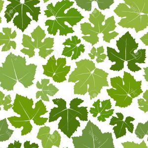 300x300 Grape Leaf High Detail Vector Hoodamathrun