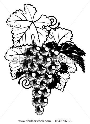 343x470 Grape Leaf Vector Free Vector Download