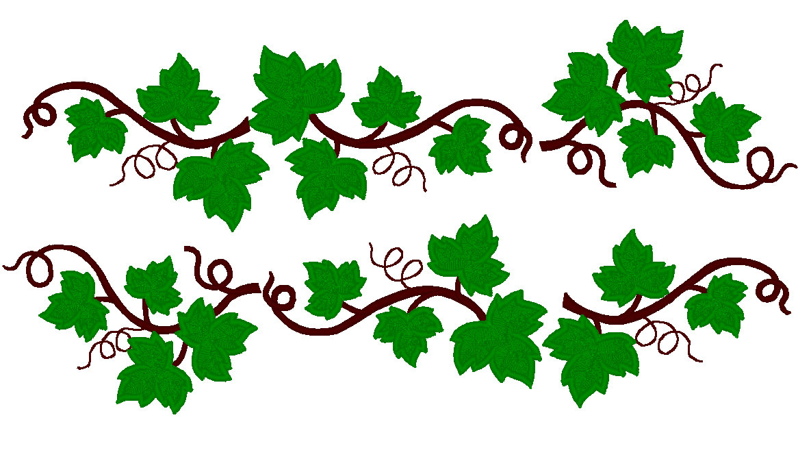 1185x689 Grapes Clipart Grape Leaf For Free Download And Use Images