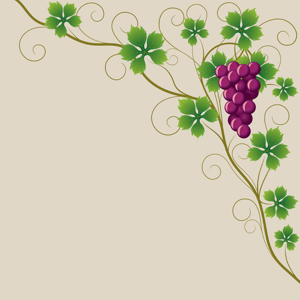 600x600 Purple Grapes And Grape Leaves