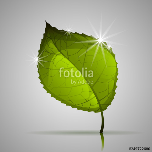500x500 Single Green Leaf, Vector Illustration Stock Image And Royalty