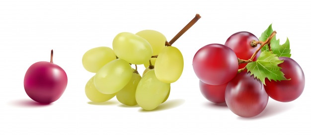 626x273 Grape Vectors, Photos And Free Download
