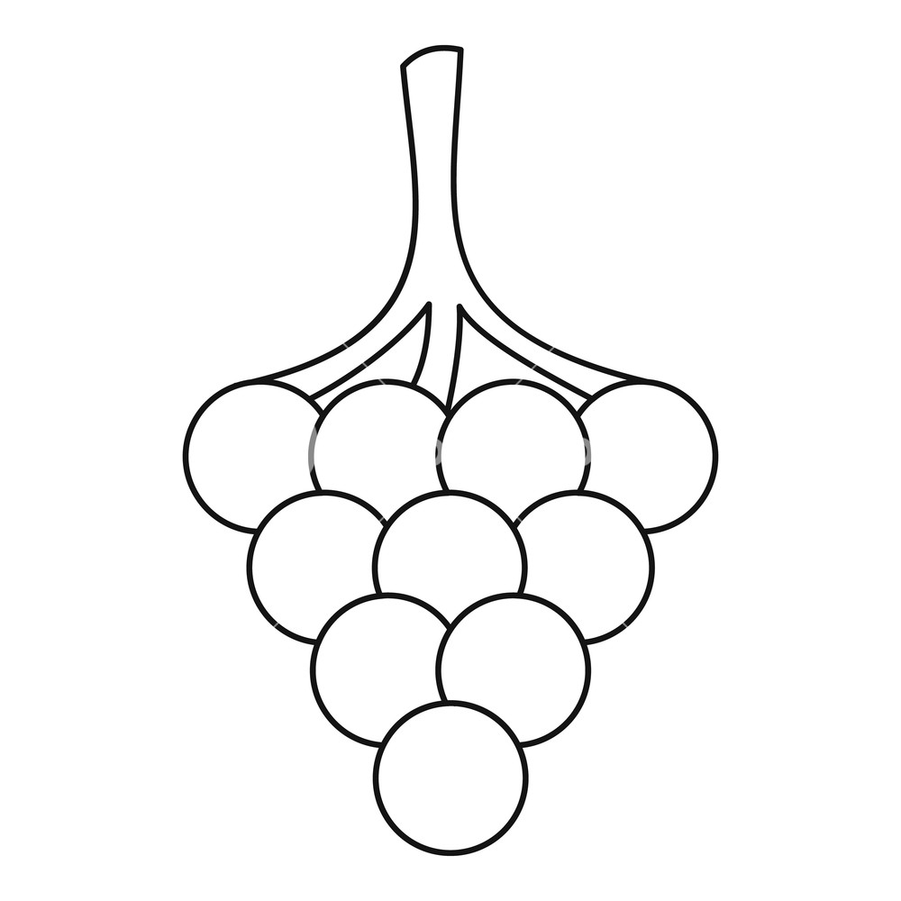 1000x1000 Grape Icon Outline Illustration Of Grape Vector Icon For Web