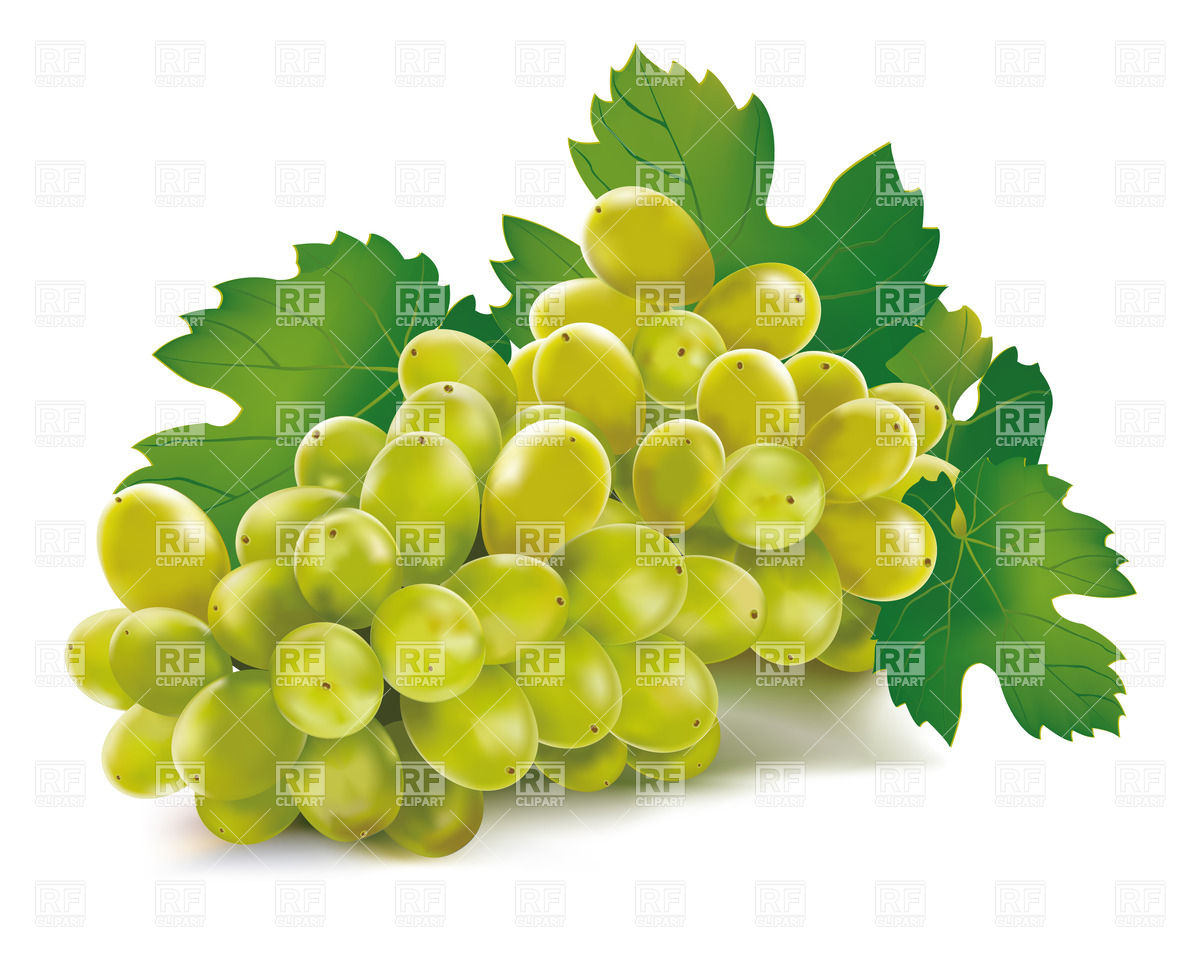 1200x960 Green Grape Vector Image Of Food And Beverages Mylisa