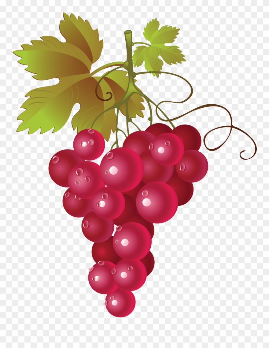 880x1138 Images For Red Grapes Clipart