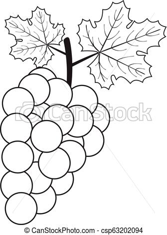 335x470 Vector Outline Grape Vector Illustration Of Outline Grape