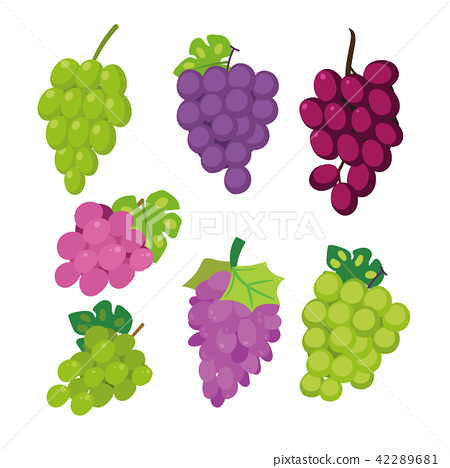 450x468 Grape Vector Collection Design