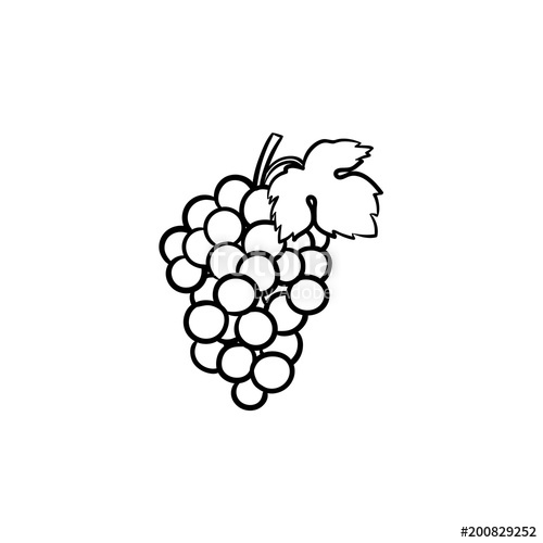 500x500 Bunch Of Grapes Vector Hand Drawn Outline Doodle Icon Grape