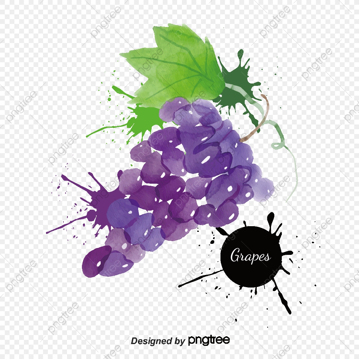 1200x1200 Drawing Grapes, Watercolor, Grape, Vector Grapes Png And Vector