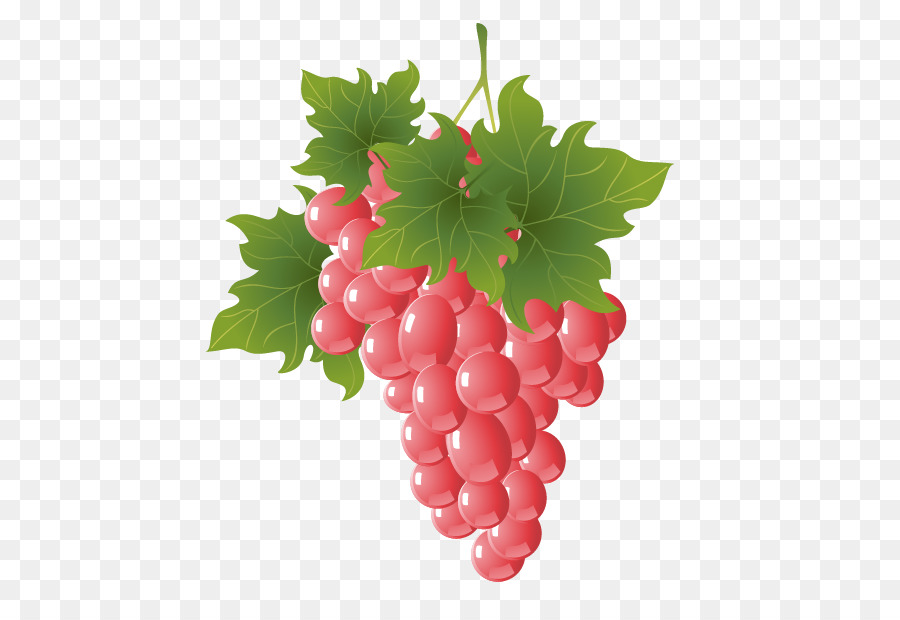 900x620 Grape Png Vector Free Grape Vector Transparent Images
