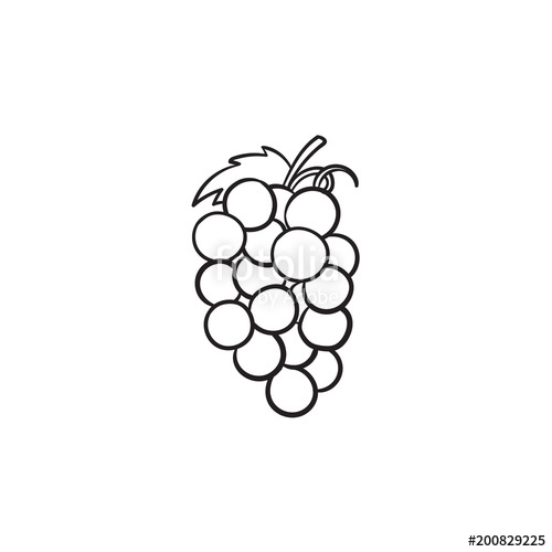 Grape Vector Free