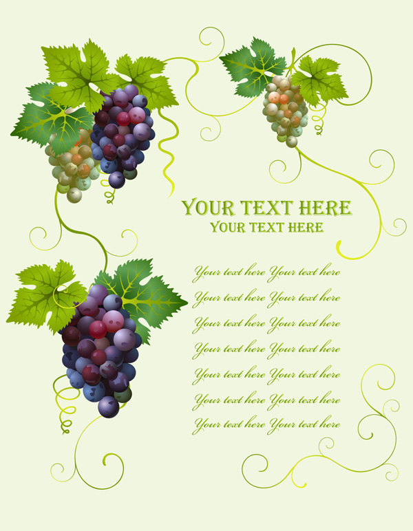 600x772 Grapes