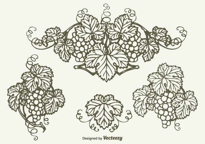 700x490 Grapes Free Vector Art