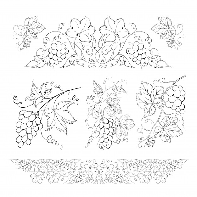626x626 Grapes Vectors, Photos And Free Download