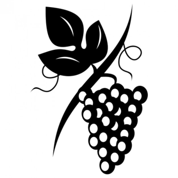 626x626 Clean Wine Grapes Vector Illustration Vector Free Download