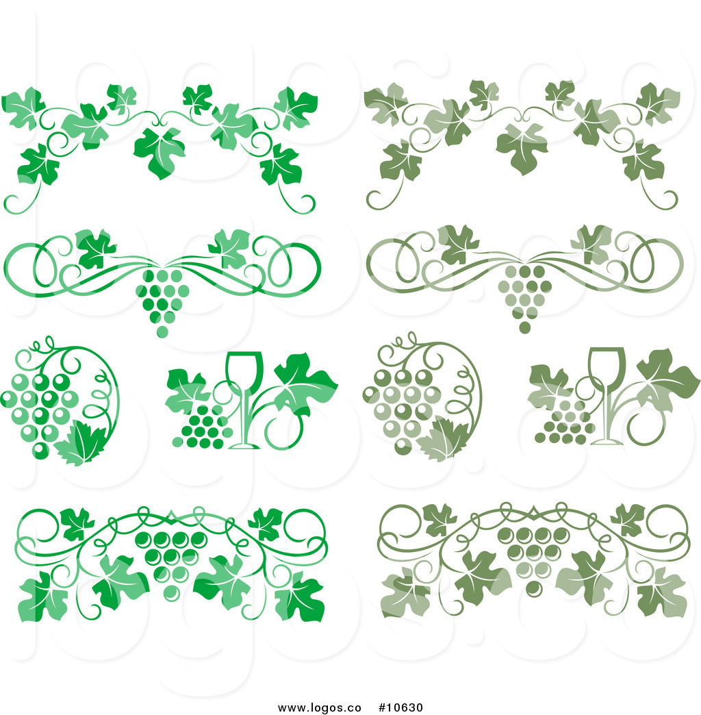 1024x1044 Royalty Free Clip Art Vector Bright And Olive Green Wine Grapes