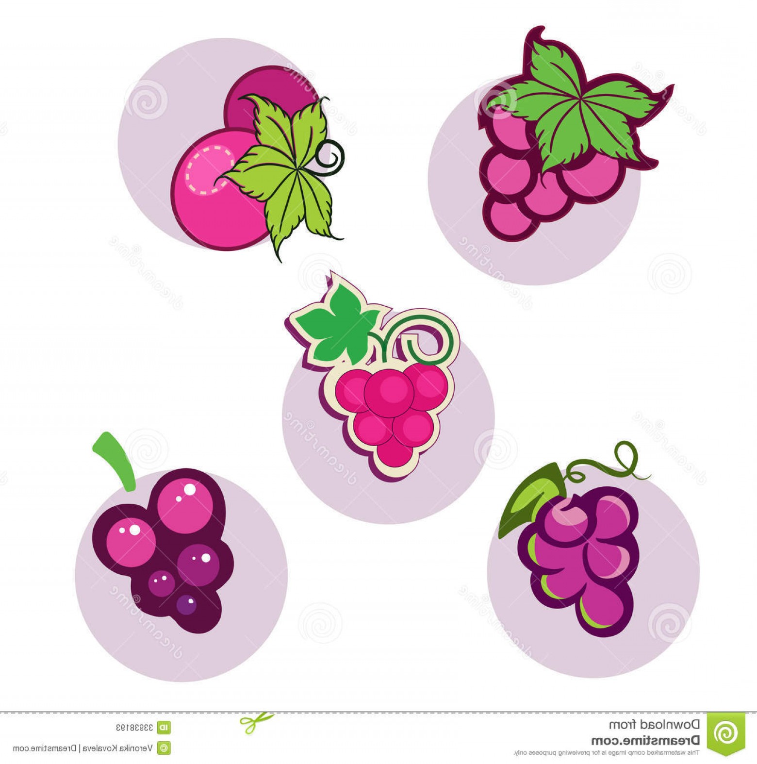 1560x1574 Royalty Free Stock Image Grapes Vector Image Soidergi