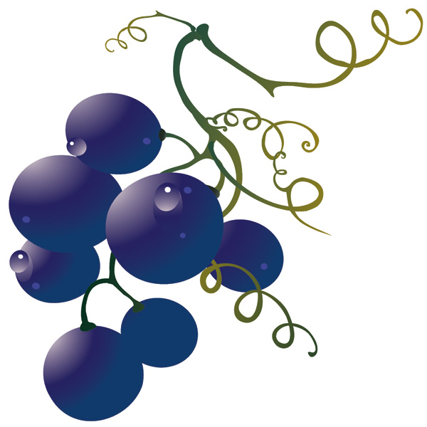 600x600 Wine And Grape Vectors
