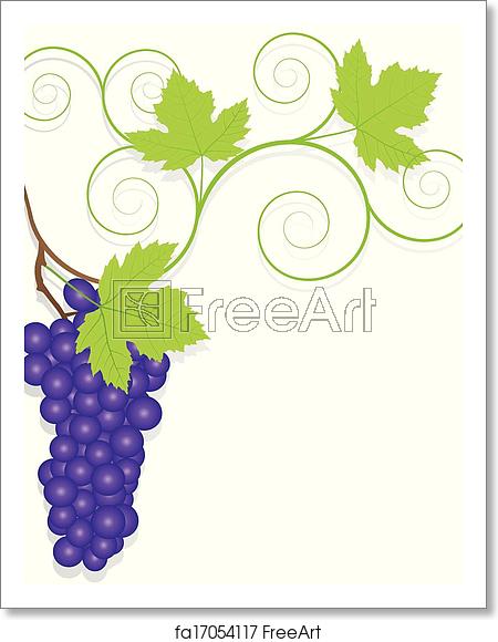 Grape Vector Free At Vectorified.com 