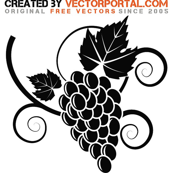 660x660 Grapes Vector Graphics