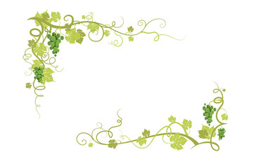 360x240 Grape Vine Border Photos, Royalty Free Images, Graphics, Vectors