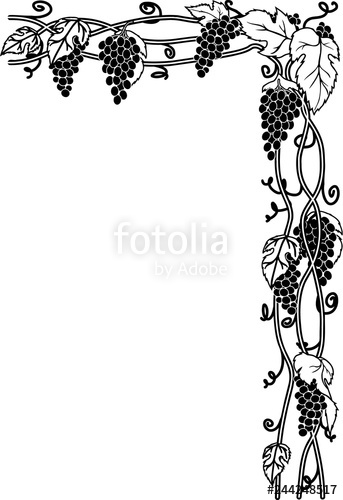 343x500 Grape Vines Vector Illustration Stock Image And Royalty Free