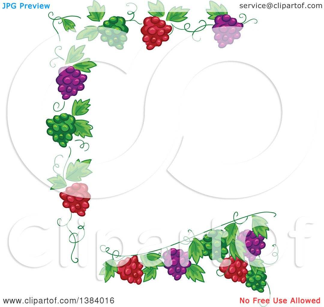 Download Grape Vine Border Vector at Vectorified.com | Collection ...