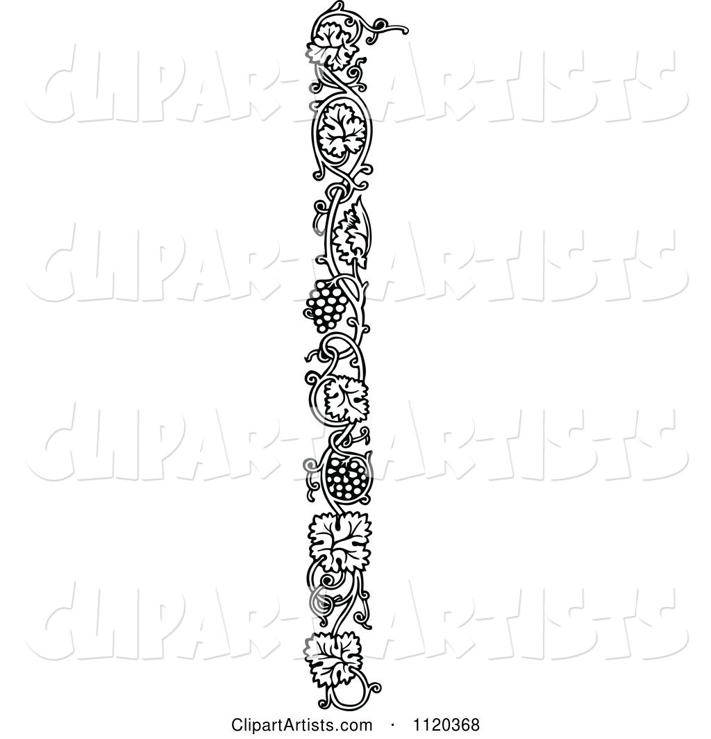 1024x1064 Retro Vintage Black And White Grape Vine Border Clipart