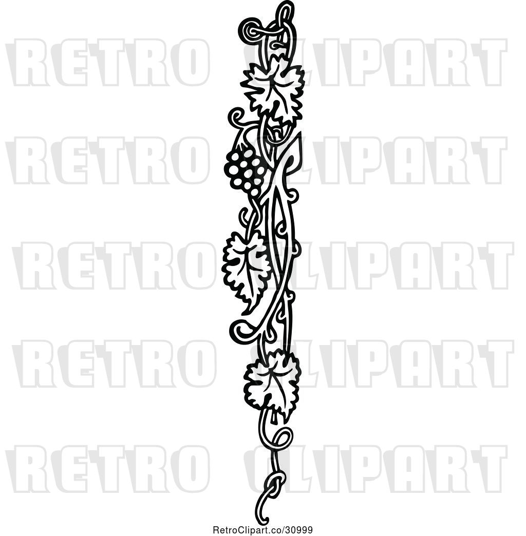 Download Grape Vine Border Vector at Vectorified.com | Collection ...