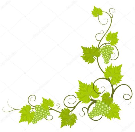 474x464 Vector Vine Frame