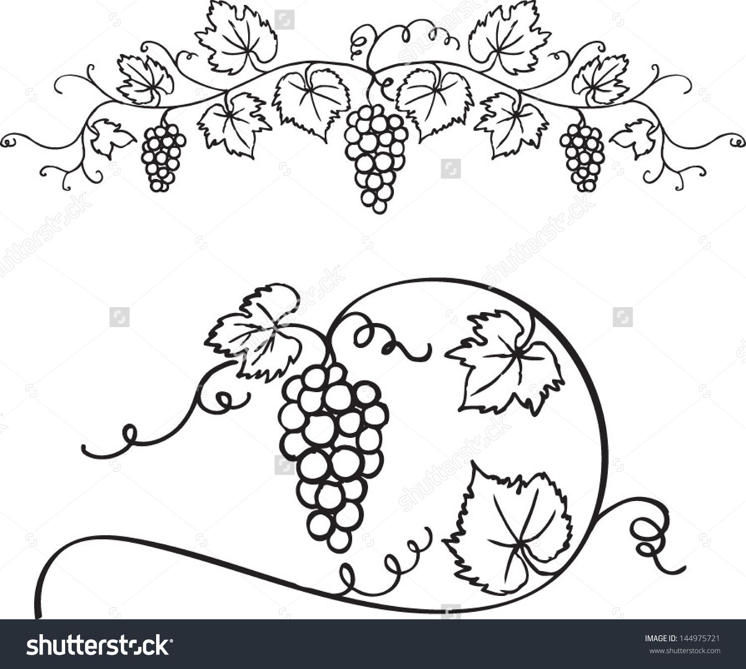 1500x1346 Decorative Grapes Vine Vector Ornament Bible Vine Drawing
