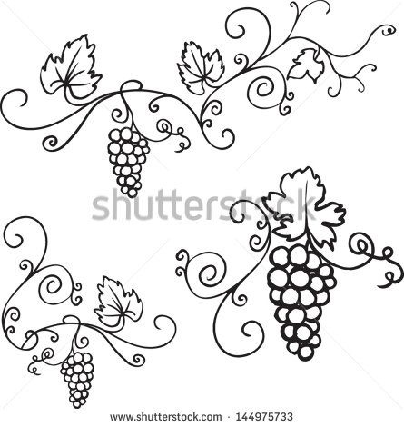 445x470 Decorative Grapes Vine Vector Ornament Fancy Embroidery
