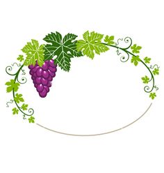236x248 Grape Vine Border Stationary Vine Border, Grape Vines