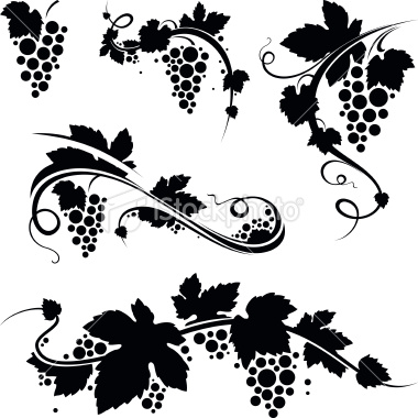 Grape Vine Vector