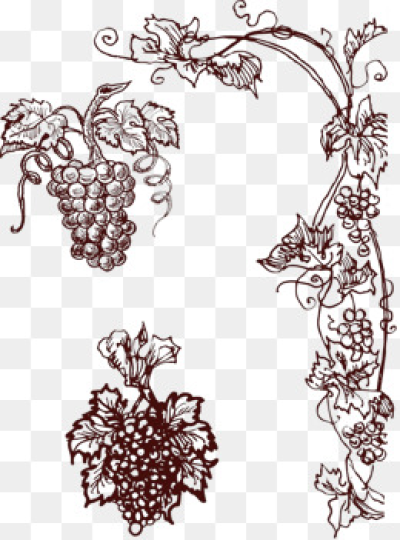 400x540 Download Free Png Grape Png