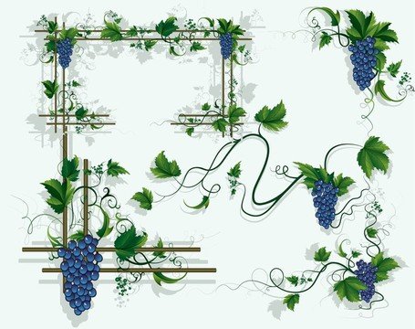 455x360 Free Grape Vine Clipart And Vector Graphics