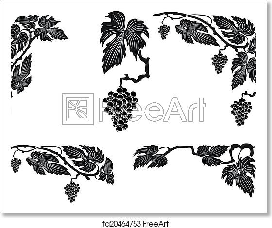 560x470 Free Art Print Of Grape Vine Vector Illustration Grape Vine