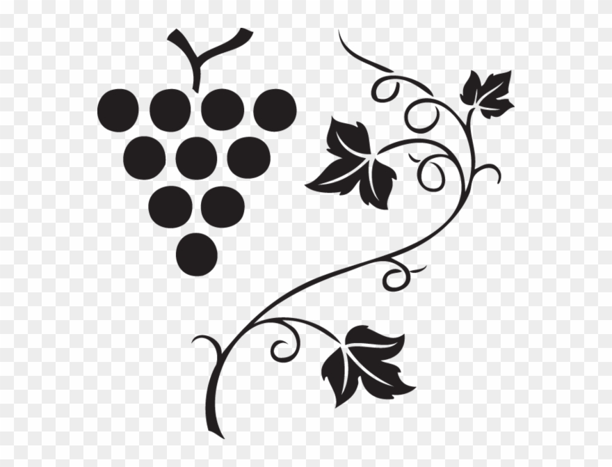 880x671 Grapes Vine Clipart Images, Vector Clipart, Multiple