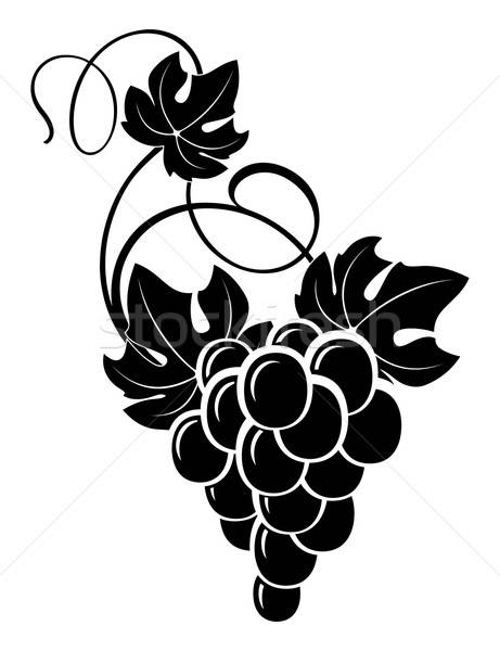 461x600 Grapevine Stock Vectors, Illustrations And Cliparts Stockfresh