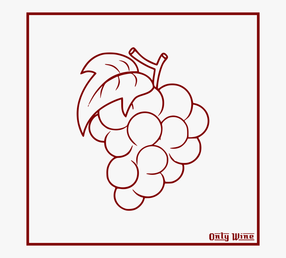 920x830 Grapevine Vector Grape Vine