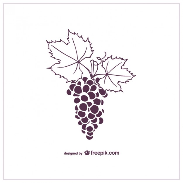 Grape Vine Vector At Vectorified.com 