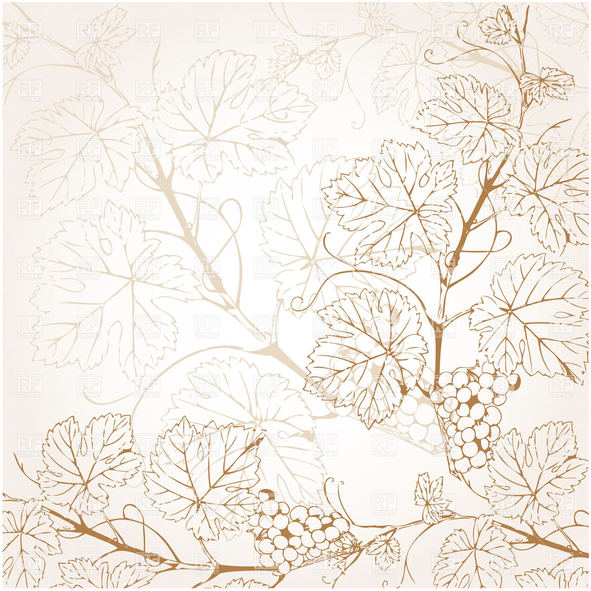 1200x1200 Backgroud With Grapevine Vector Image Of Backgrounds, Textures