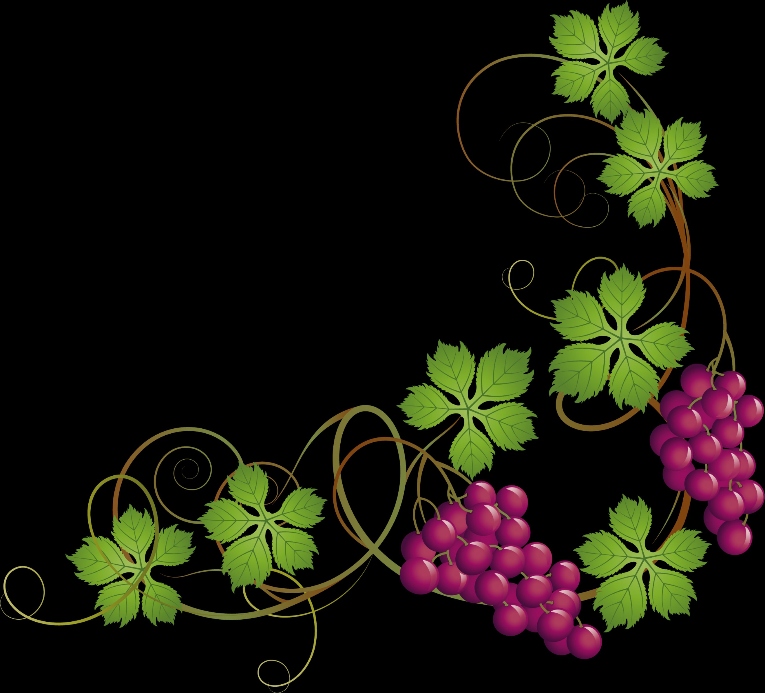 2641x2391 Best Free Grape Vines Vector Drawing Hoodamathrun