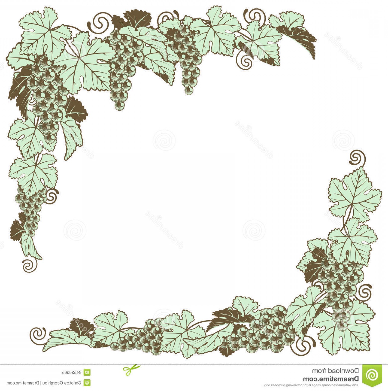 Download Grape Vine Vector Free at Vectorified.com | Collection of ...