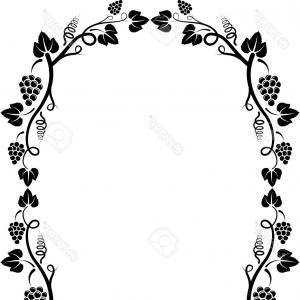 300x300 Best Free Grape Vines Vector Drawing Hoodamathrun
