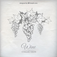 200x200 Grape Vines Vector Free Vector Graphic Art Free Download