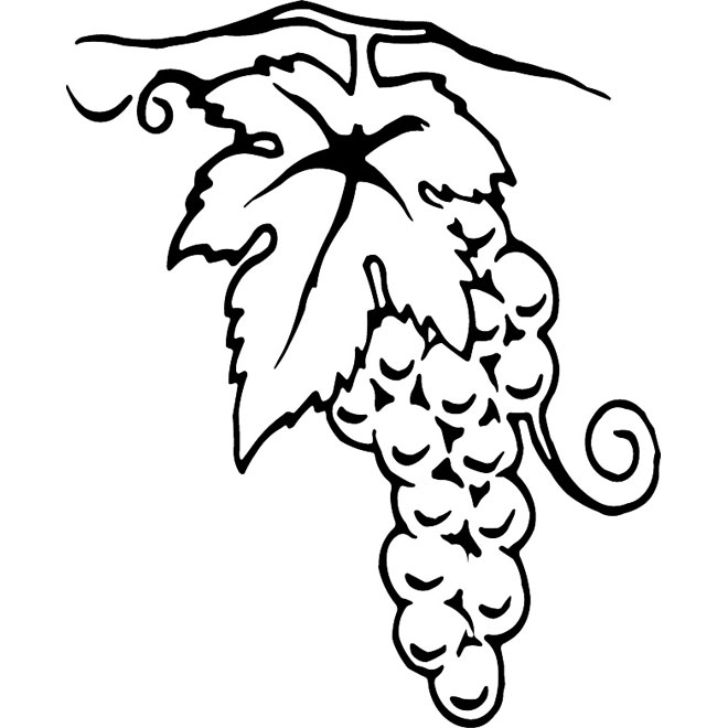 660x660 Grapevine Vector