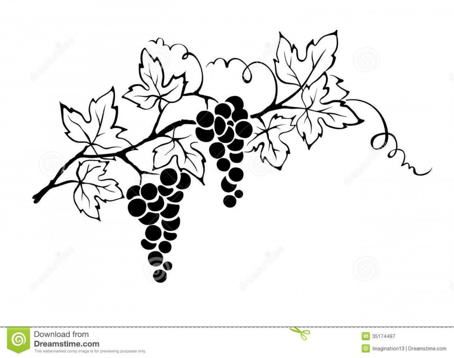 Векторный узор виноград